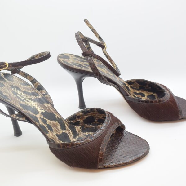 Dolce & Gabbana D&G Pumps Phytonleder 38-11551