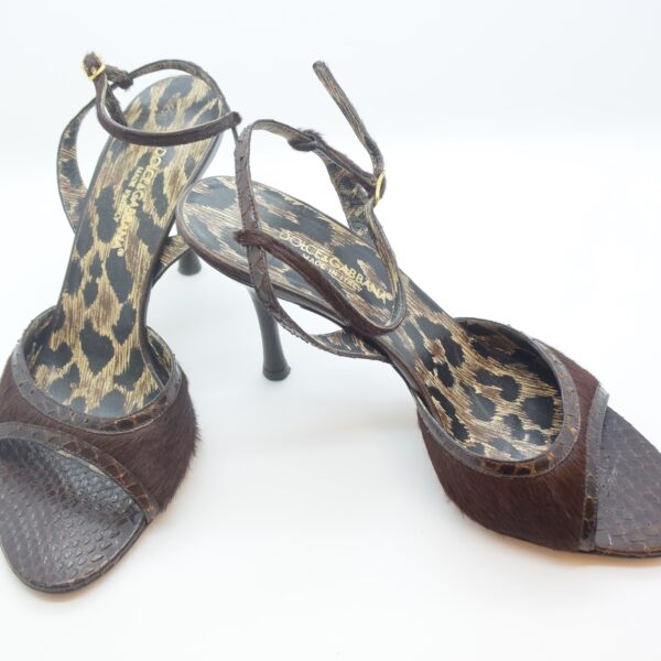 Dolce & Gabbana D&G Pumps Phytonleder 38