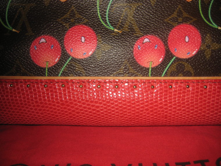Louis Vuitton Sac Femior Eidechsenleder Cerise -1071