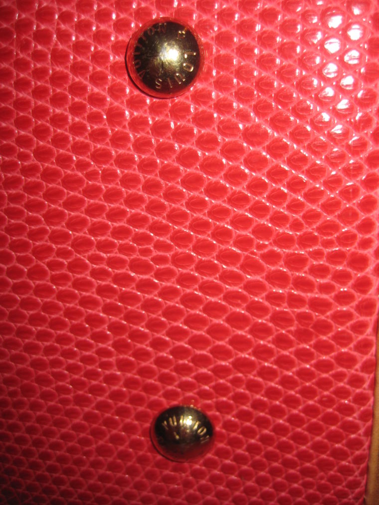 Louis Vuitton Sac Femior Eidechsenleder Cerise -1070