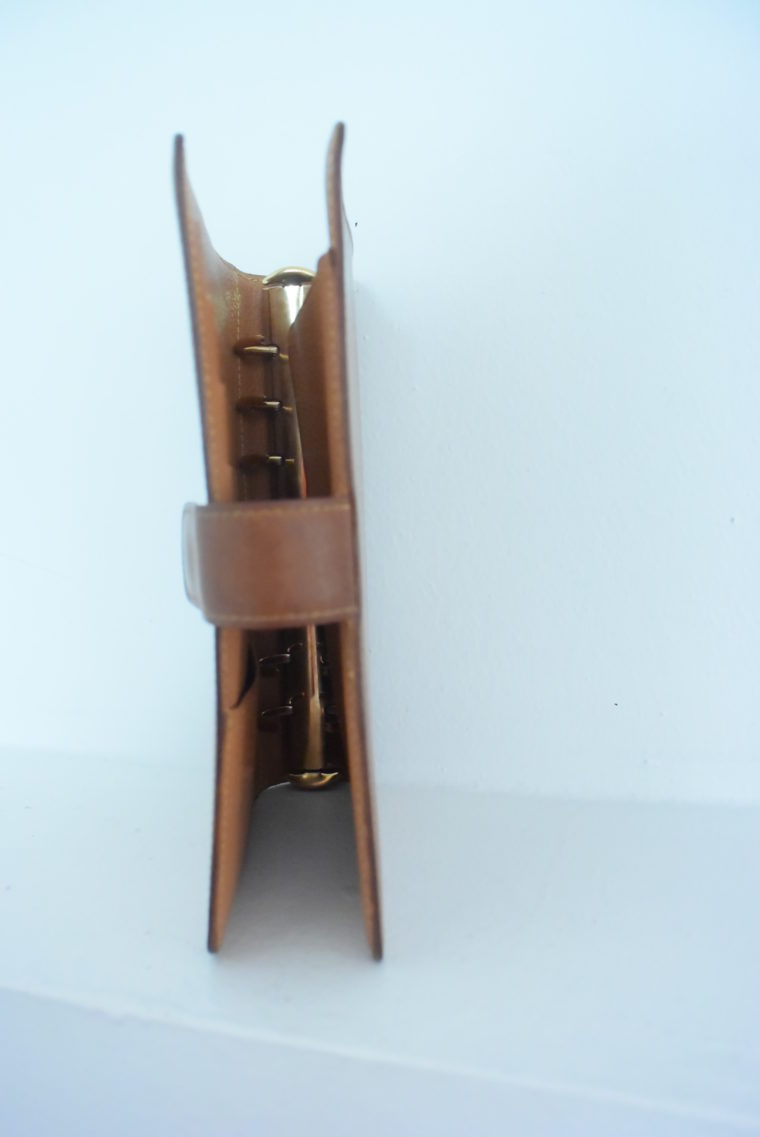 Louis Vuitton Kalender Agenda MM Rindsleder -5505
