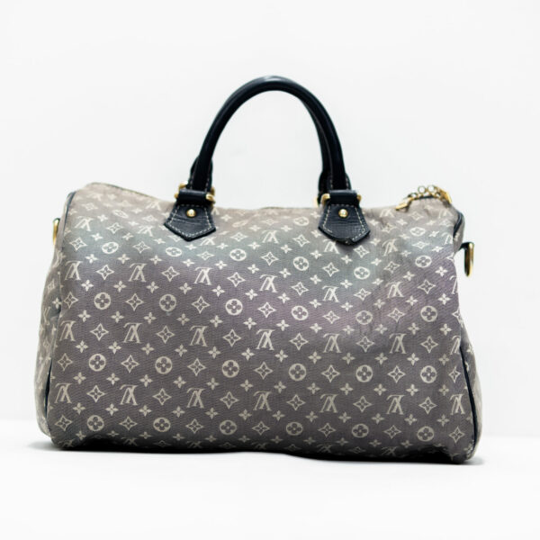 Louis Vuitton Tasche Speedy 30 Idylle