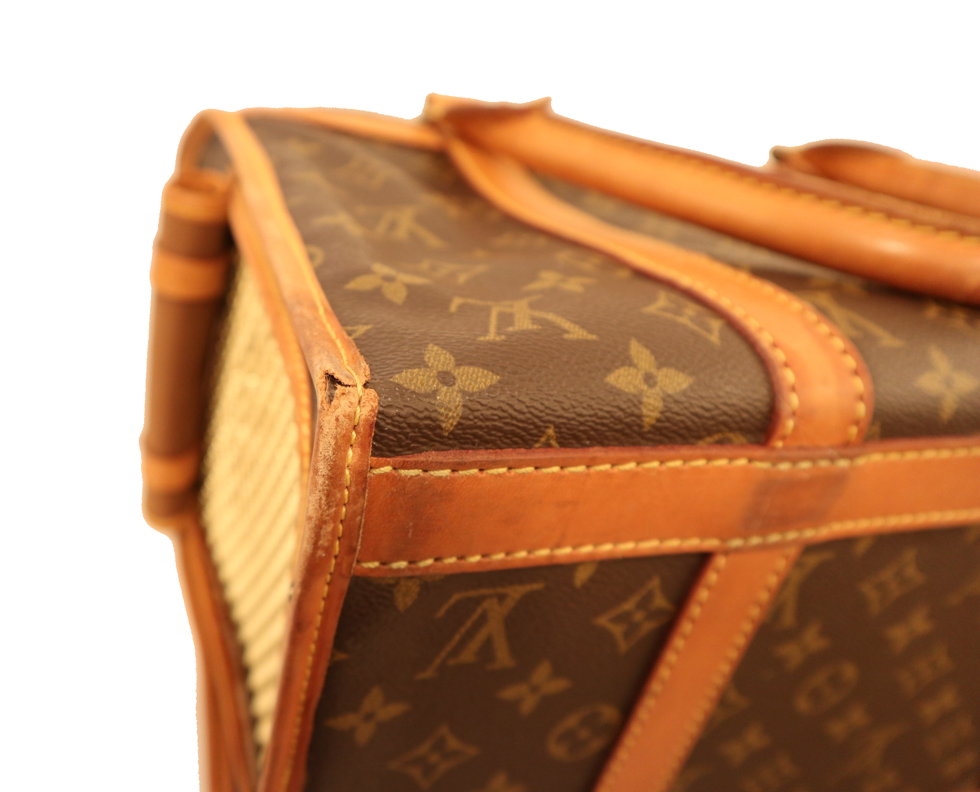 Louis Vuitton Hundetransportbox Baxter Monogram Canvas – Luxus Store
