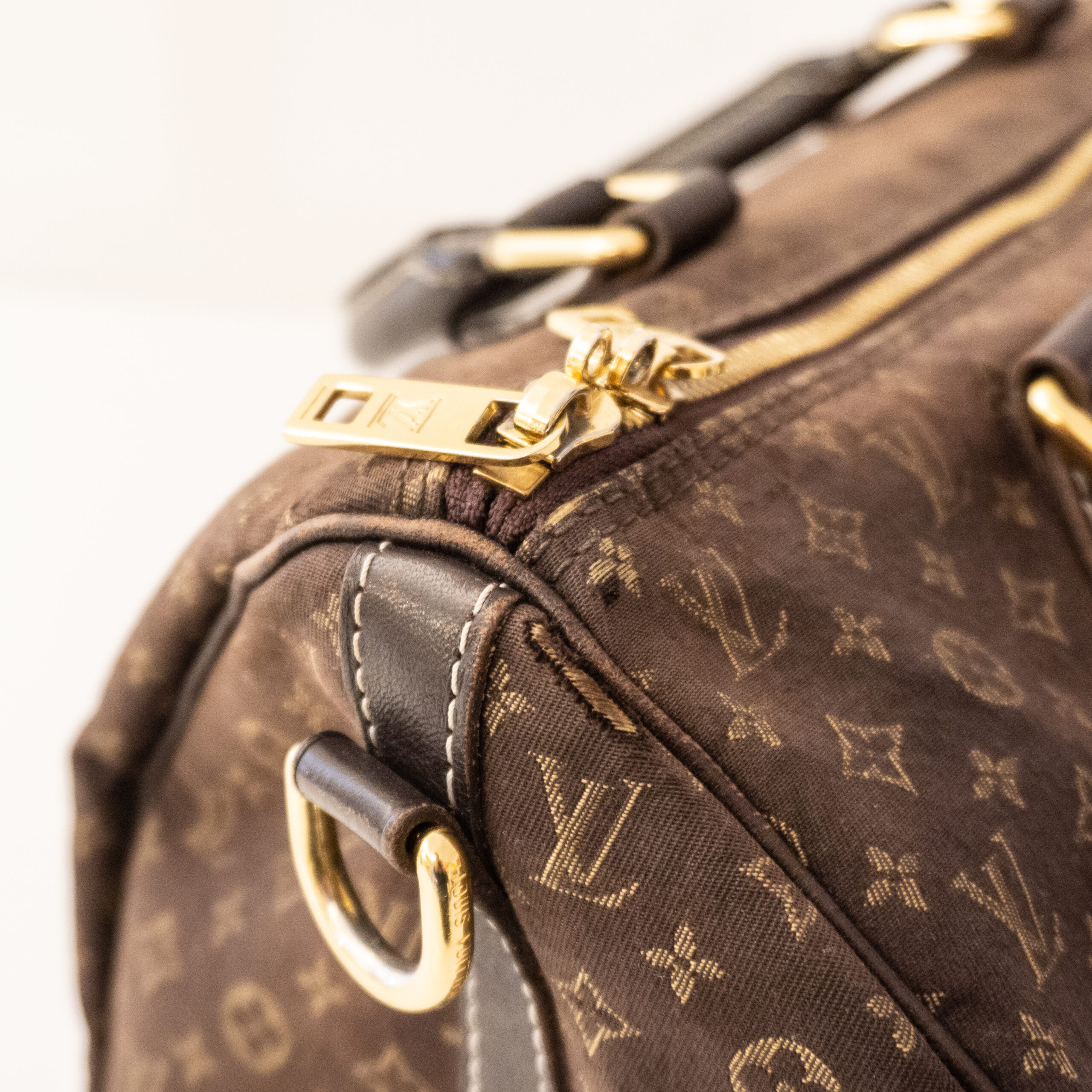 Louis Vuitton Tasche Speedy 30 Idylle – Luxus Store