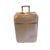 Louis Vuitton Rollkoffer Pegase 65 Monogram Canvas braun
